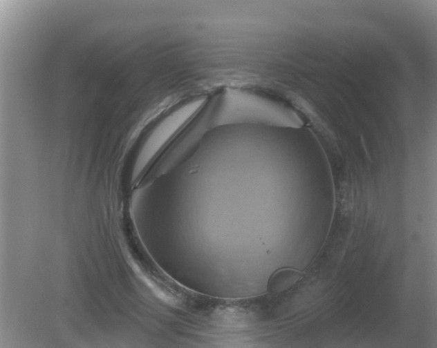 X0000081500634200701191925