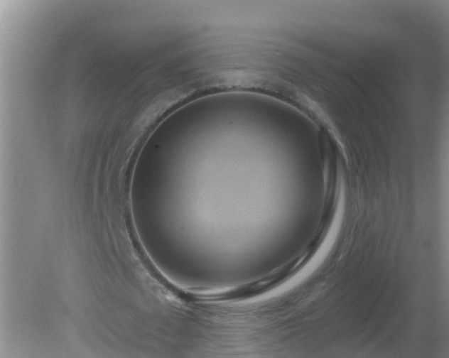 X0000081500673200701191925