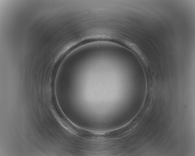 X0000081500677200701191925