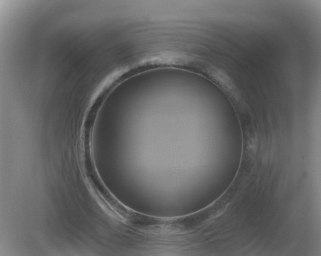 X0000081500678200701191925