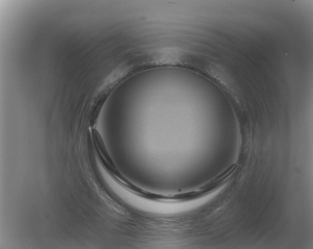 X0000081500681200701191925