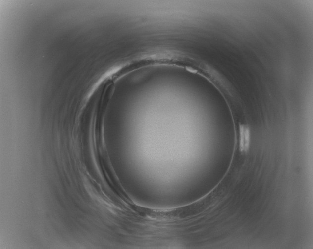 X0000081500723200701191923