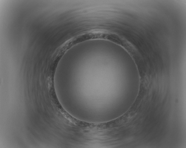 X0000081500821200701191922