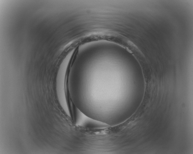 X0000081500822200701191922