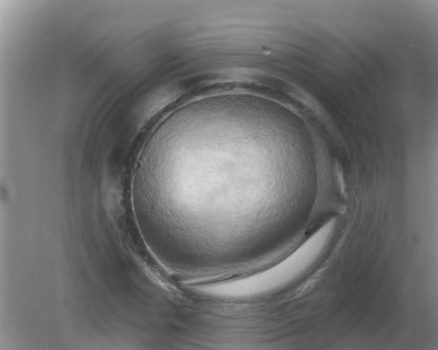 X0000081500826200701191922