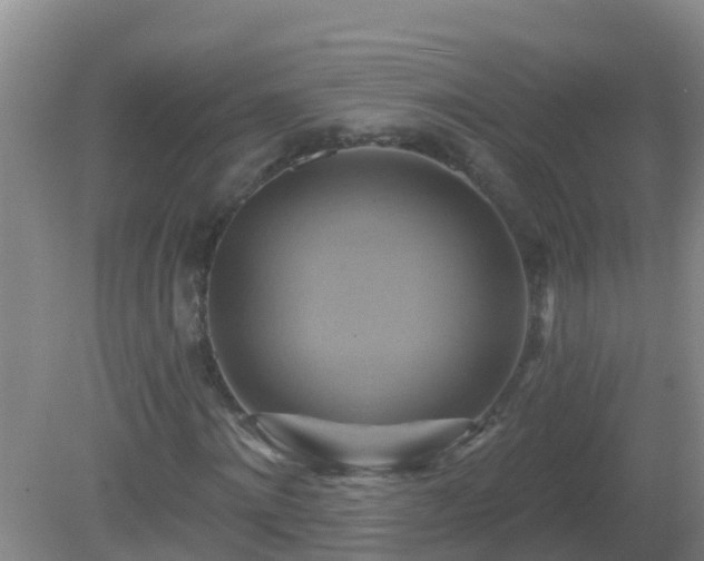 X0000081500868200701191922