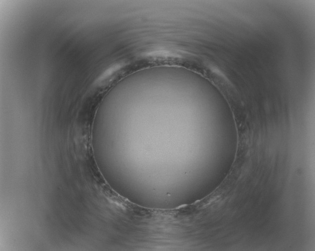 X0000081500870200701191922