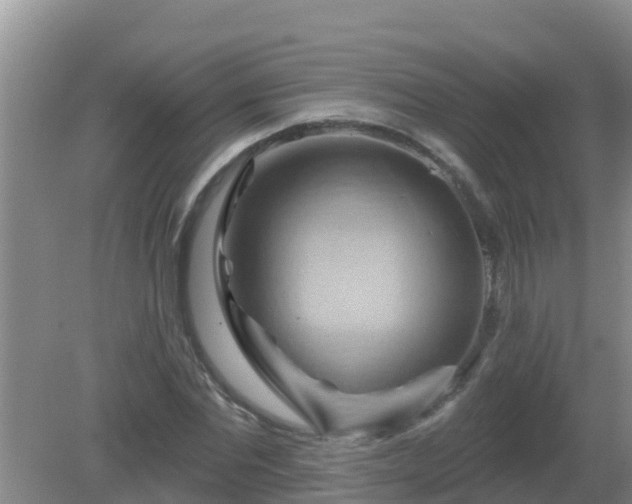 X0000081500877200701191921