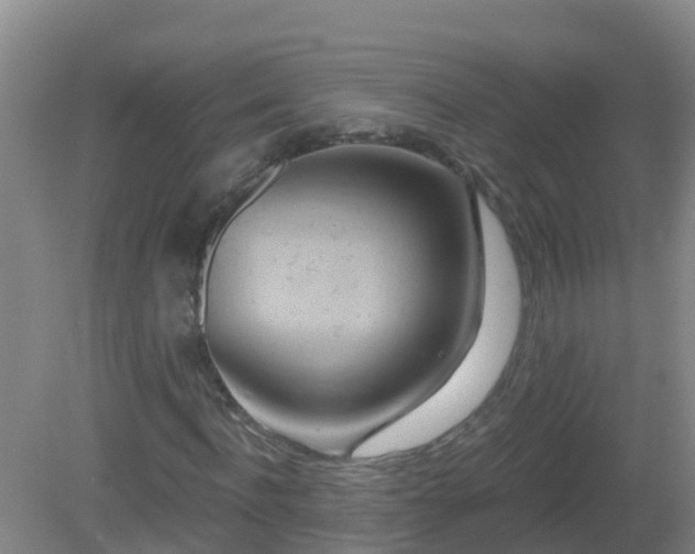 X0000081500916200701191920