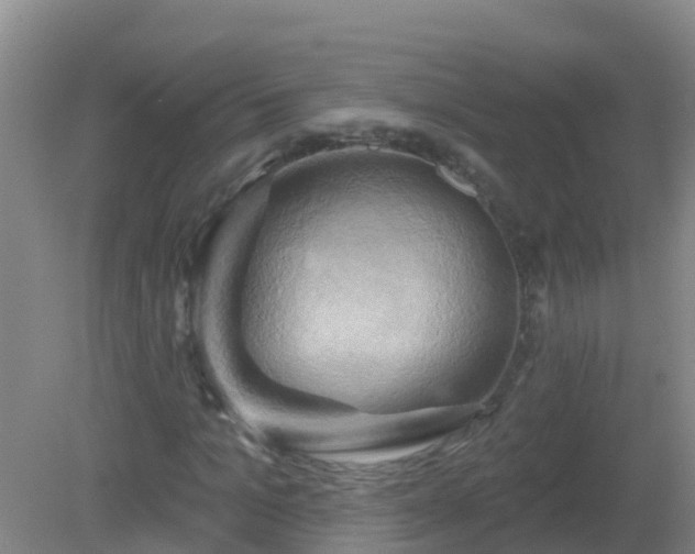 X0000081500965200701191920
