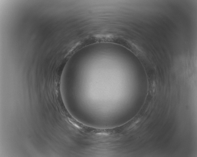 X0000081501010200701191918