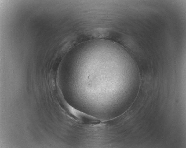 X0000081501058200701191918