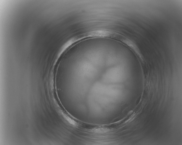 X0000081501083200701191918