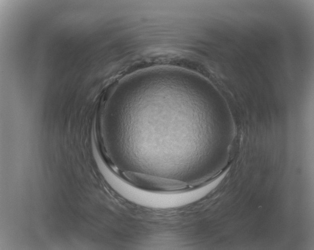 X0000081501109200701191917