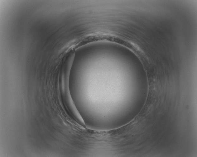 X0000081501110200701191917