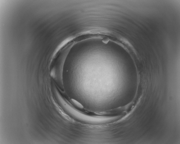 X0000081501114200701191917