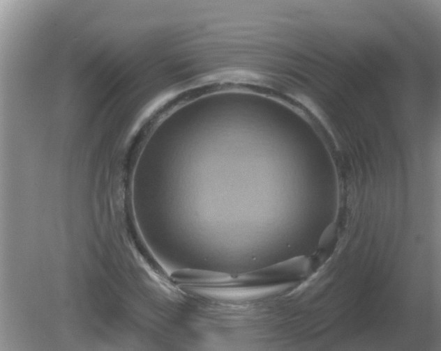 X0000081501115200701191917