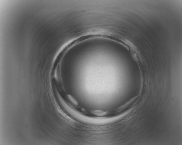 X0000081501120200701191917