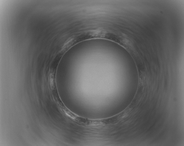 X0000081501154200701191917