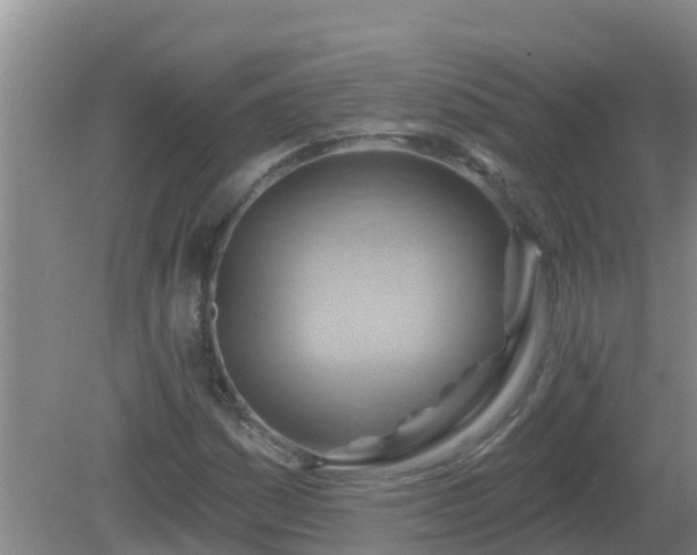 X0000081501161200701191917