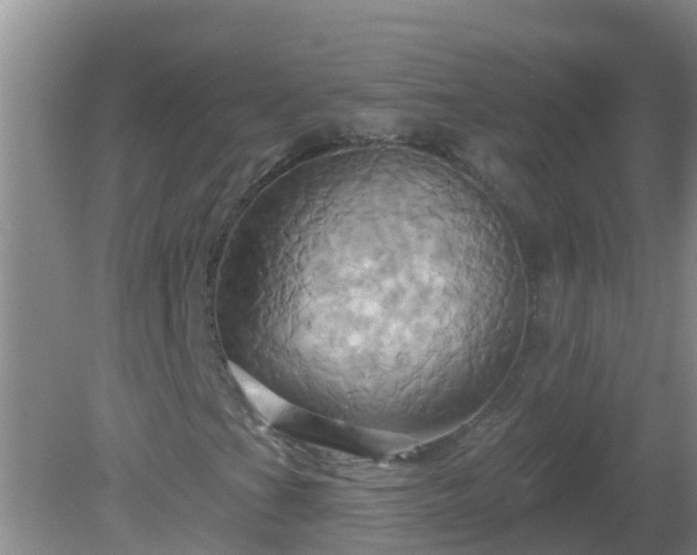 X0000081501201200701191915