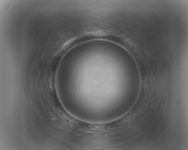 X0000081501205200701191915