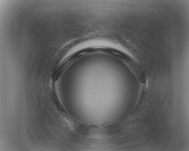 X0000081501206200701191915
