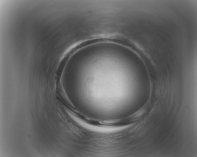 X0000081501214200701191915