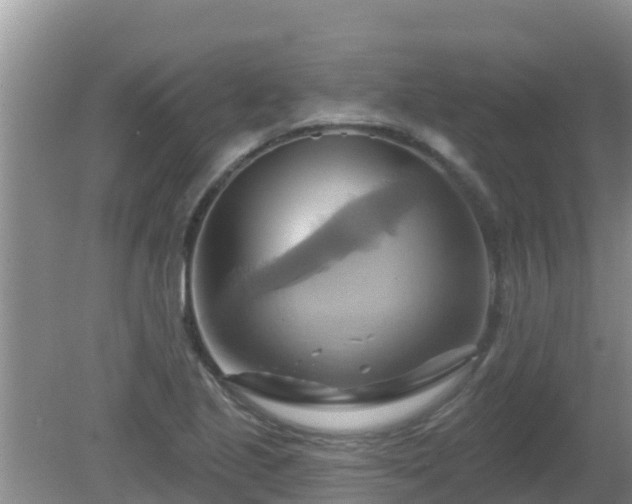 X0000081501221200701191915