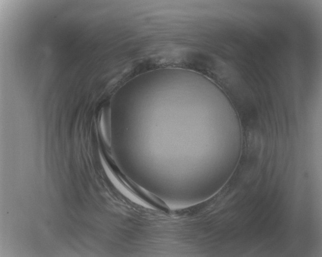 X0000081501250200701191915