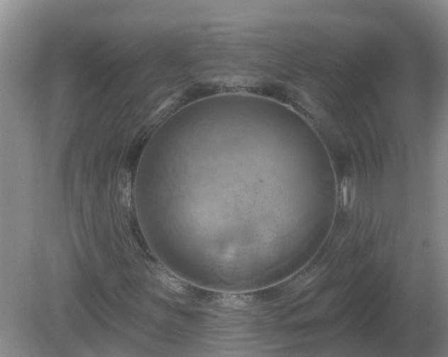 X0000081501251200701191915
