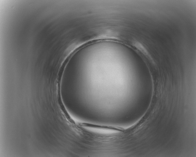 X0000081501268200701191915