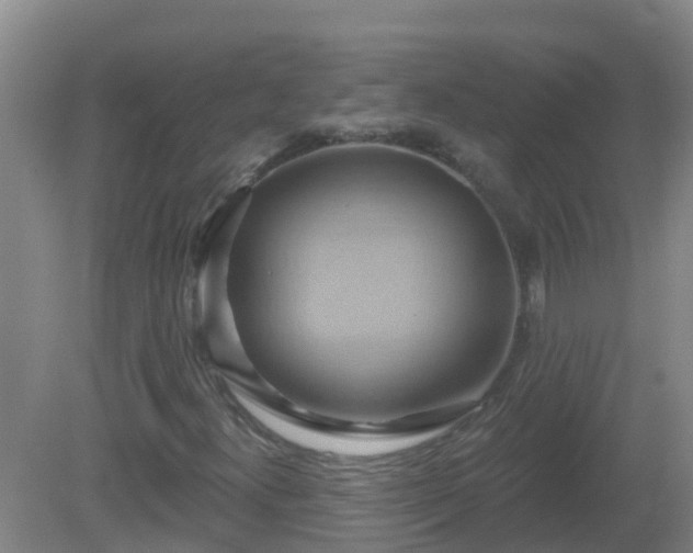 X0000081501300200701191914