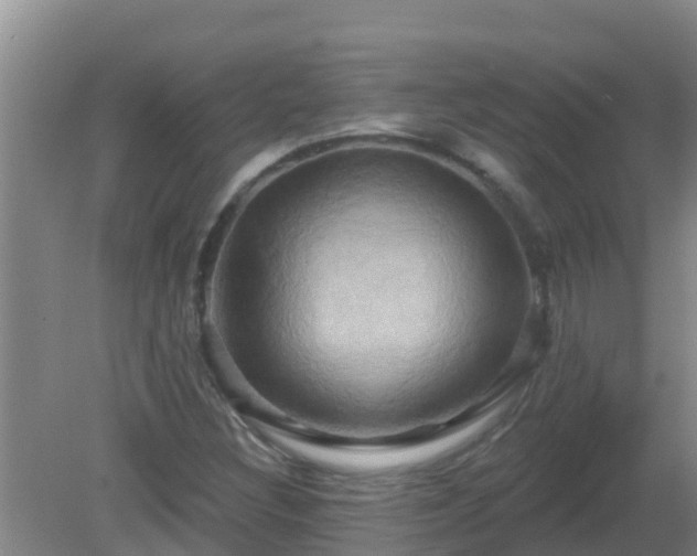 X0000081501308200701191914