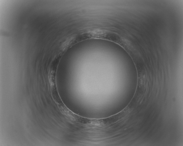 X0000081501346200701191913
