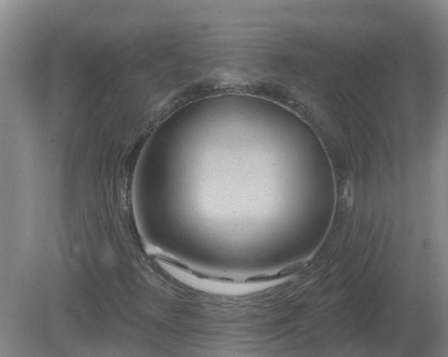 X0000081501348200701191913