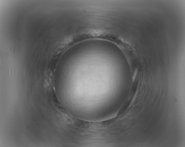 X0000081501349200701191913