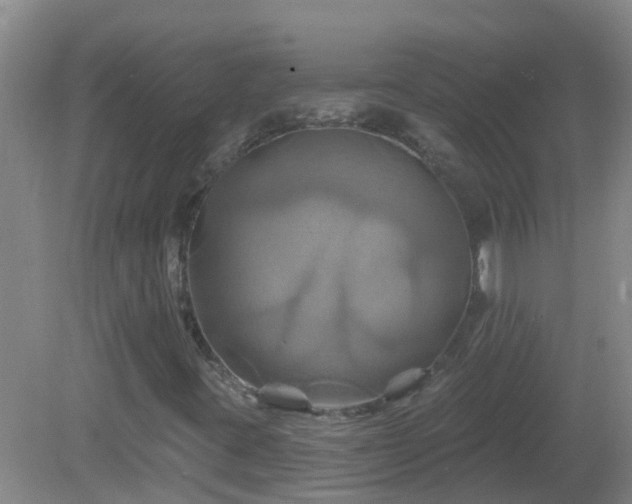 X0000081501395200701191912