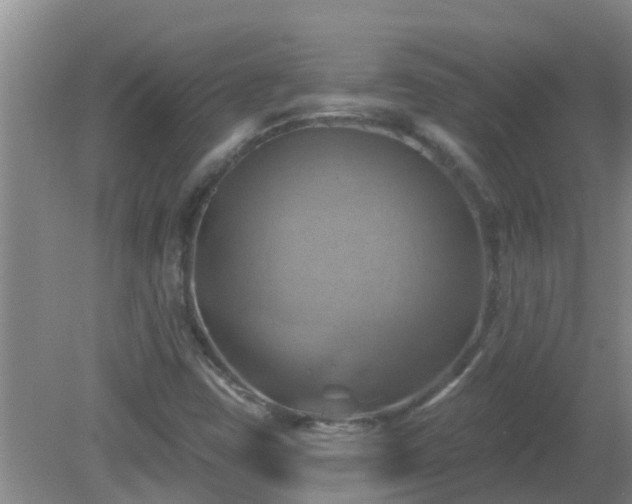 X0000081501403200701191912