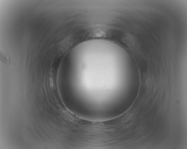 X0000081501442200701191912