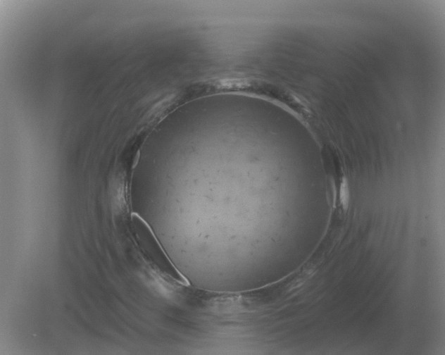 X0000081501444200701191912