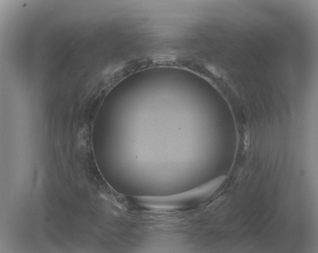 X0000081501445200701191912