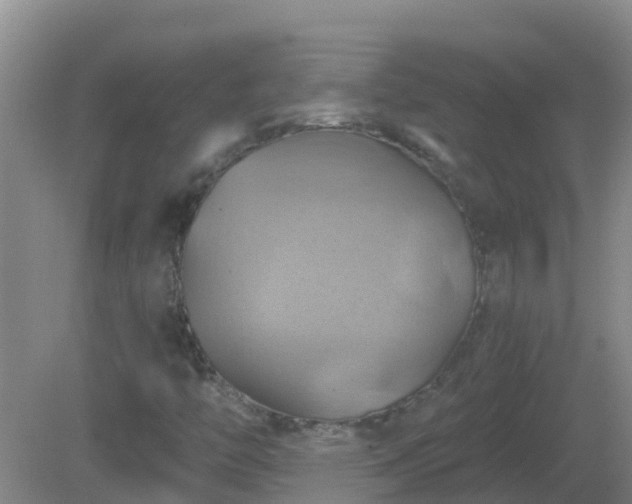 X0000081501446200701191912