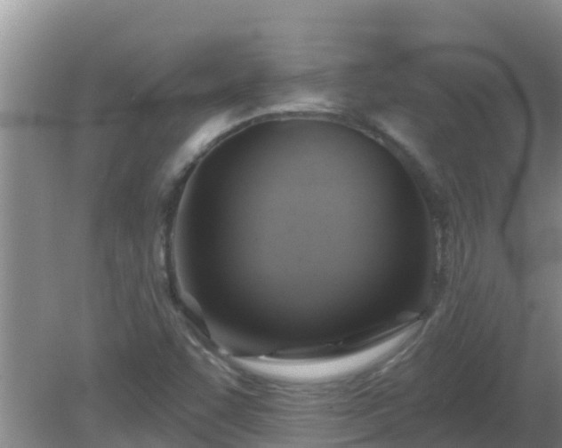 X0000081501455200701191912