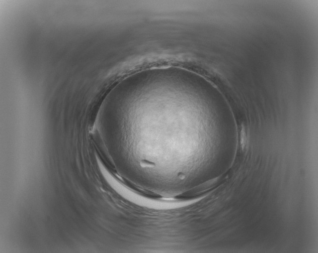 X0000081501492200701191910