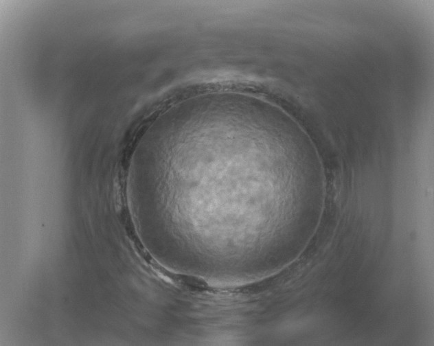X0000081501493200701191910
