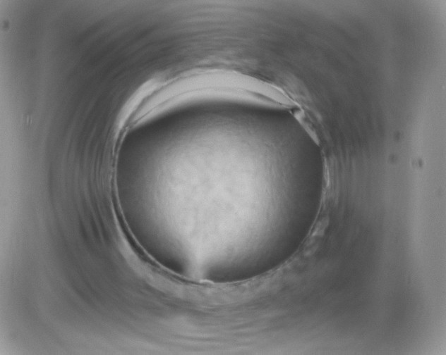X0000081500003200701262130