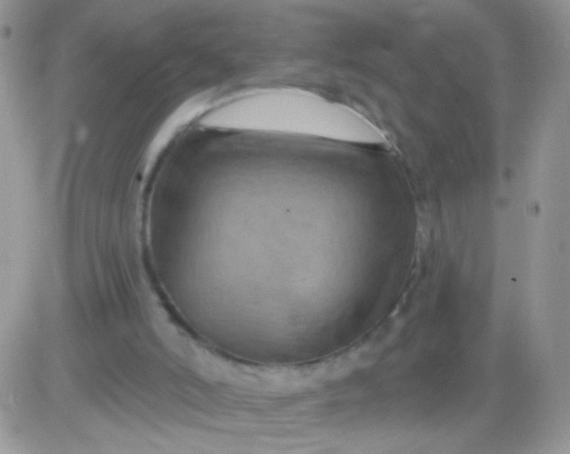X0000081500006200701262130