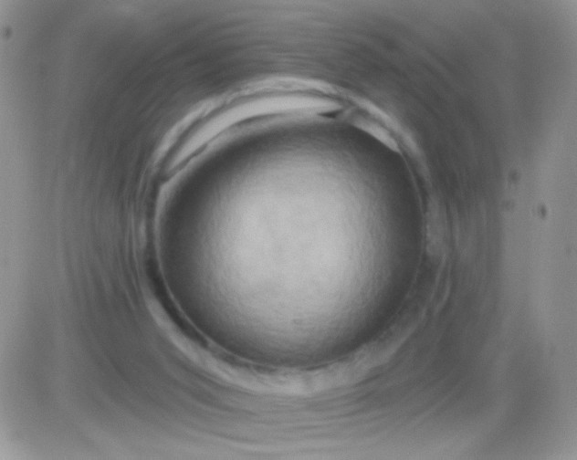 X0000081500015200701262130