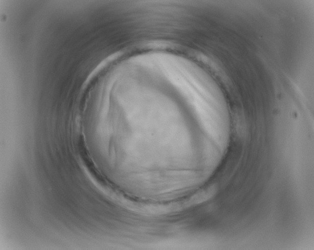 X0000081500016200701262130